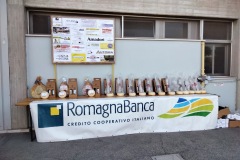 IMG20240512085449