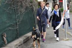 forli diabete 2016 2